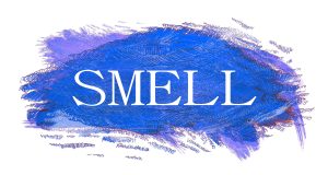 336446282-word-smell